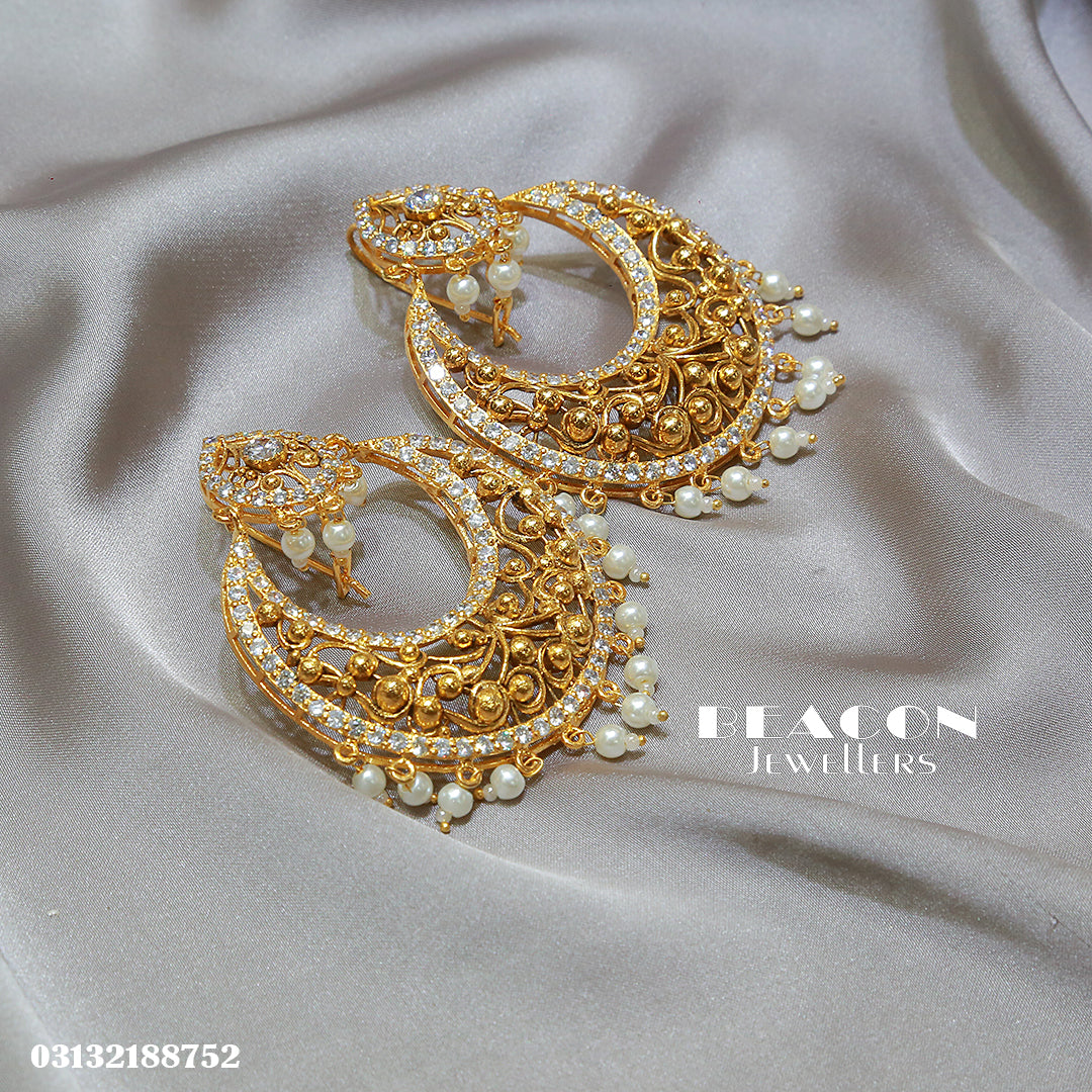 Earrings 31