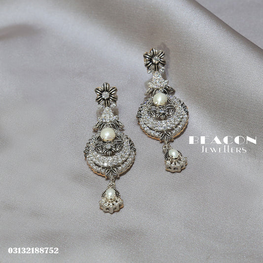 Earrings 65