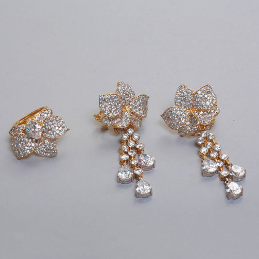 Earnings with Ring