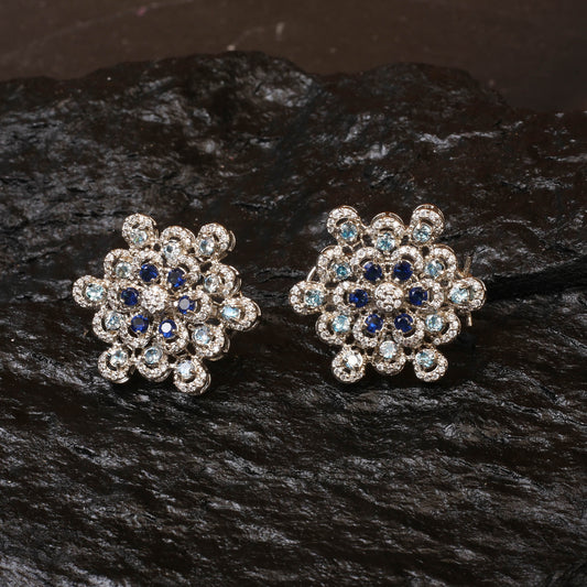 Earrings Set