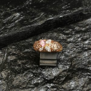 Alternative view of Ring0026